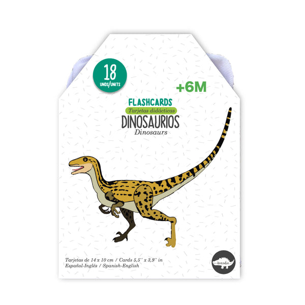 Flash Card Dinosaurios